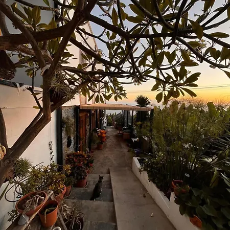 Small And Magical * Tazacorte